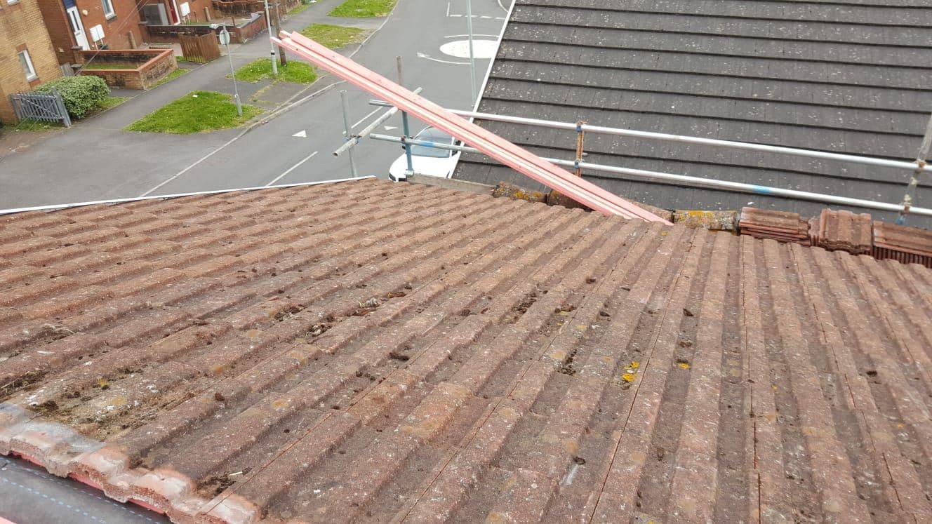 An old, mossy tiled roof